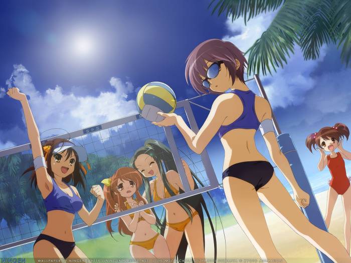 chiboard-b1t39206-20090409_203_haruhi_suzumiya_upby-Devilblood.jpg