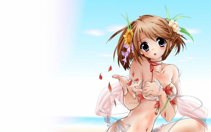 chiboard-b1t39531-20090419_Ecchi_165_upby-Danse_Macabre.jpg