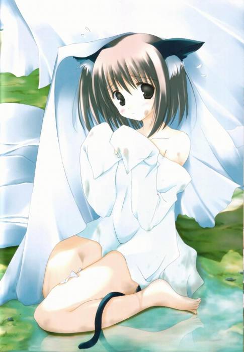 chiboard-b1t40001-20090504_Neko_6_upby-Nana_chan.jpg