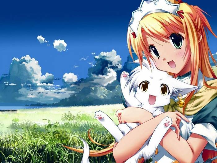 chiboard-b1t40229-20090516_Wallpaper_2928-1_upby-ashita.jpg