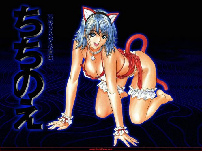 chiboard-b1t40882-20090605_375_upby-shana.jpg