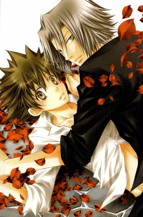 chiboard-b2t40947-20090607_reborn02_upby-Duky.jpg