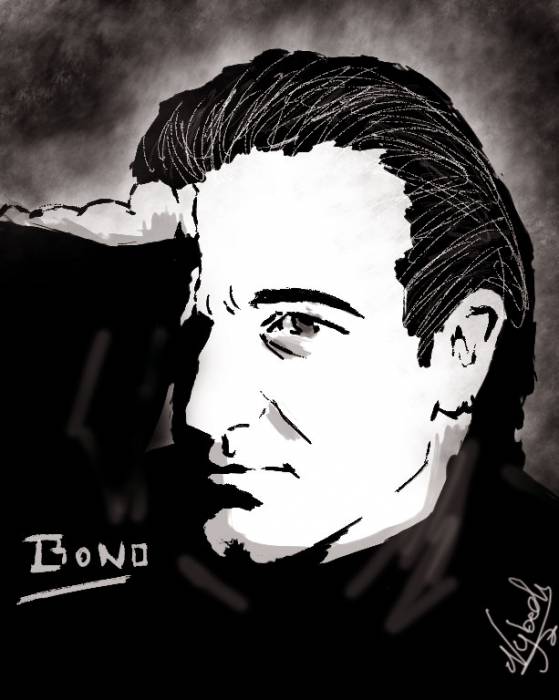 chiboard-b16t41024-20090611_Bono_upby-Nybelem.jpg
