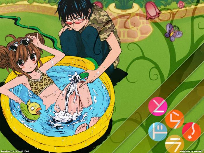 chiboard-b1t41420-20090626__AnimePaper_wallpapers_Toradora_-_NeclordX_1.33__1600x1200_92228_upby-Xou-chan.jpg