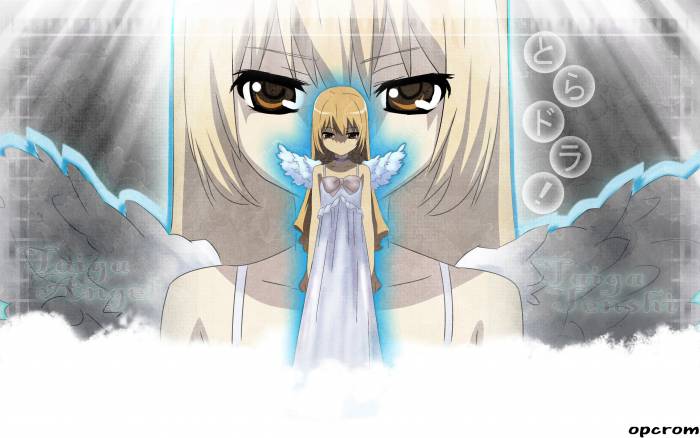chiboard-b1t41421-20090626__AnimePaper_wallpapers_Toradora_-_opcrom_1.6__2560x1600_89192_upby-Xou-chan.jpg
