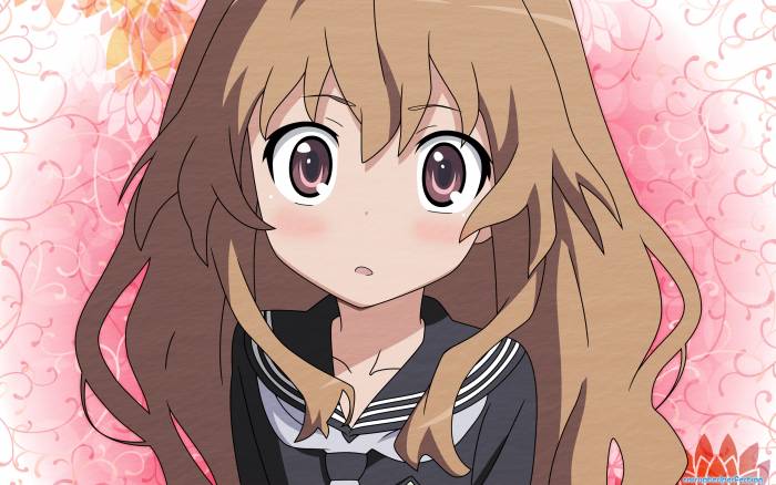 chiboard-b1t41422-20090626__AnimePaper_wallpapers_Toradora_-_CorruptedPerfection_1.6__2560x1600_93315_upby-Xou-chan.jpg