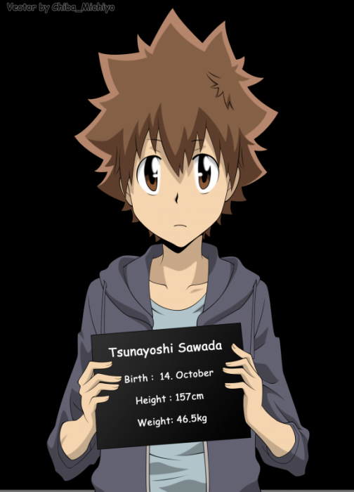 chiboard-b2t41512-20090628_Tsuna_Sawada__1__upby-Kallynkah.png