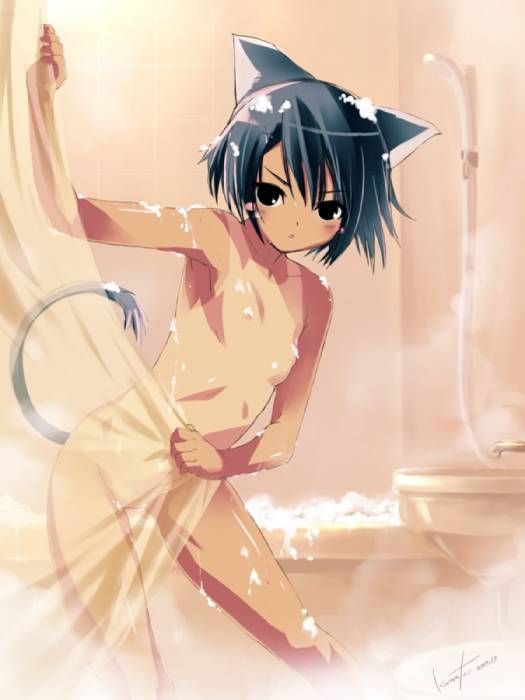 chiboard-b1t41532-20090629_Neko_12_upby-Nana_chan.jpg