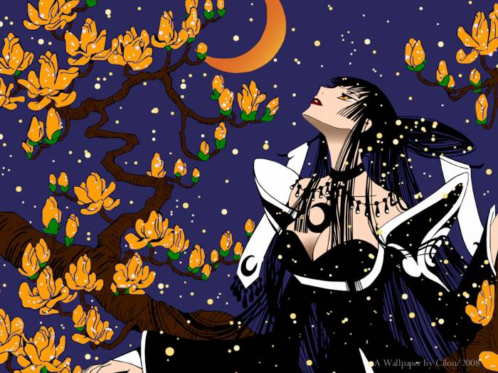 chiboard-b1t41563-20090630__AnimePaper_wallpapers_xxxHOLiC_Cilou_1.33__1600x1200_80835_upby-Xou-chan.jpg