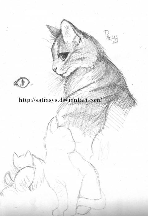 chiboard-b16t41627-20090702_hgfhgfh_upby-Devilblood.jpg