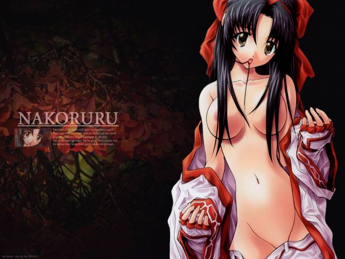 chiboard-b1t41675-20090705_5b244335dia9_upby-ecchi__anime.jpg