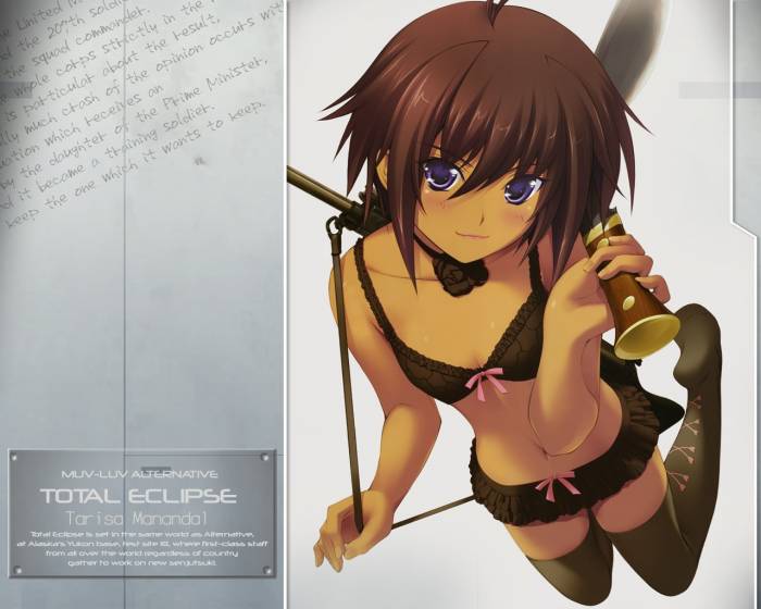 chiboard-b1t41794-20090710_Konachan.com_-_45010_gun_muv-luv_alternative_sou_miyata_tarisa_manandal_underwear_upby-Devilblood.jpg