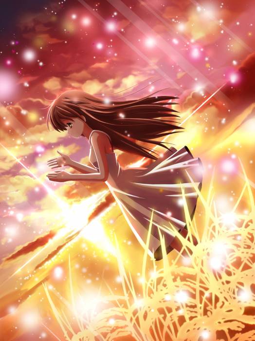 chiboard-b1t42086-20090719_Nouveau_127_upby-Nana_chan.jpg