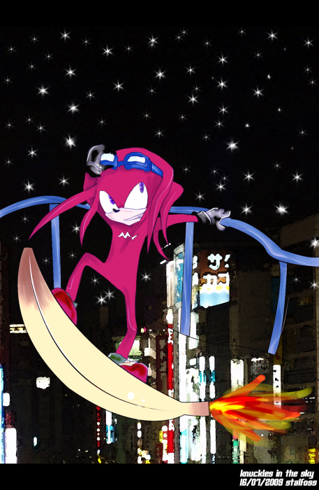 chiboard-b16t42405-20090730_knuckles002_upby-stalfoss.png