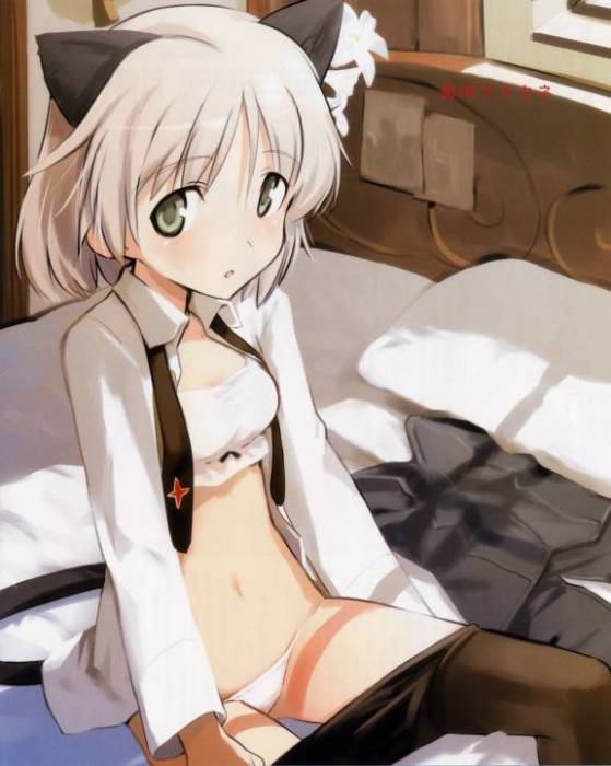 chiboard-b1t42605-20090808_Strike_Witches_-_Setsuke_upby-Youffie.jpg