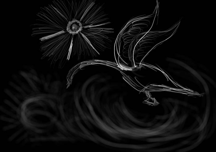 chiboard-b16t42623-20090808_signe_upby-elphyke.jpg