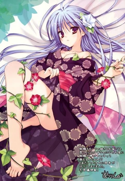 chiboard-b1t43373-20090912_17551_densuke._WORKS8_123_563lo_upby-Devilblood.jpg