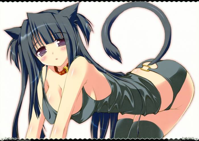 chiboard-b1t44239-20091007_Konachan.com_-_60555_animal_ears_black_hair_blush_panties_tail_underwear_upby-yayanipon.jpg