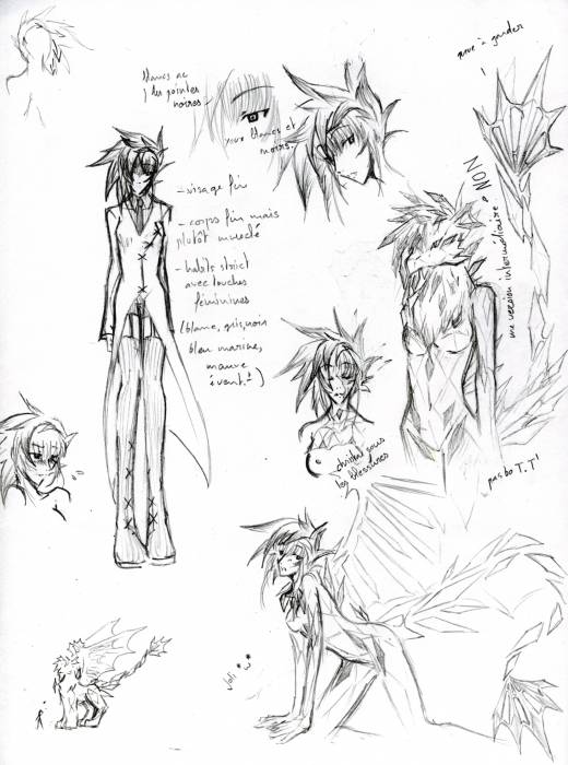 chiboard-b16t44309-20091011_Fiche_Miss_no_Name_upby-Arashi.jpg