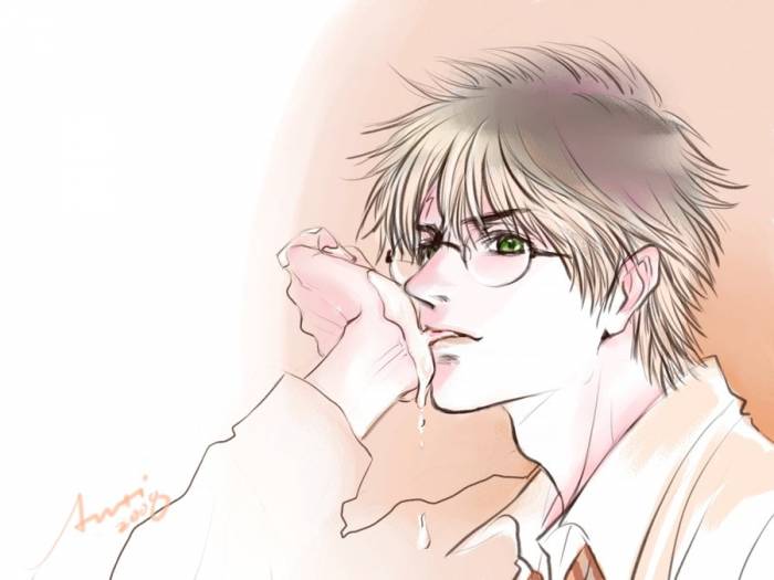 chiboard-b2t44562-20091021_harry_potter_head_plus_by_woshibbdou_upby-xXx_ShinRei_xXx_.jpg