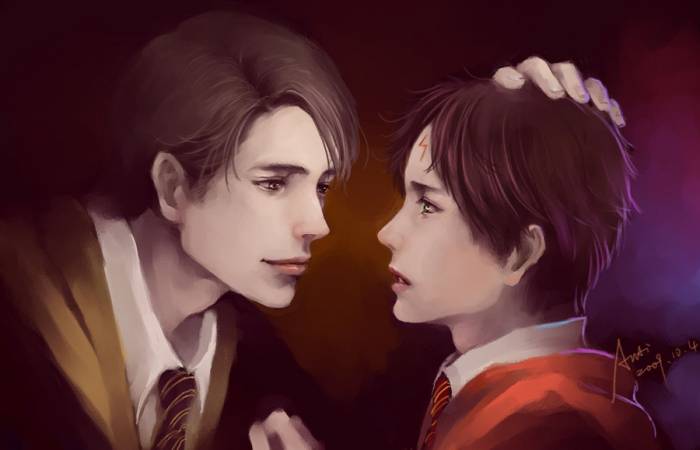 chiboard-b2t44575-20091021_AU_Cedric___Harry_by_woshibbdou_upby-_xXx_ShinRei_xXx_.jpg