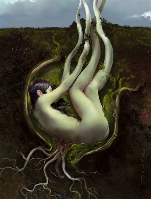 chiboard-b1t44743-20091028_The_Seed_by_paweljonca_upby-Kyotari.jpg