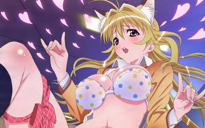 chiboard-b1t45157-20091116_kanokon_upby-Devilblood.jpg
