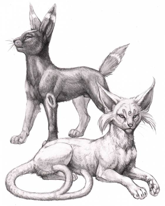 chiboard-b1t45218-20091118_Espeon_and_Umbreon_by_hibbary_upby-Arashi.jpg