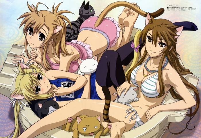 chiboard-b1t45405-20091126_sample_e9b9c690f8c013cebb9e08bda2591bb3c800a469_upby-Devilblood.jpg