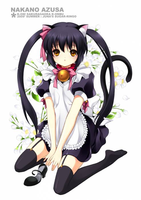 chiboard-b1t46372-20091220_News_2_upby-Nana_chan.jpg