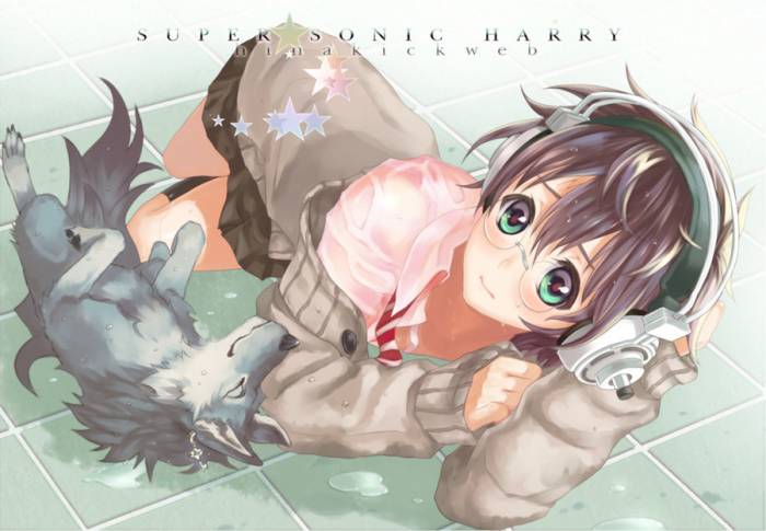 chiboard-b2t46914-20100104_SUPER_SONIC_HP_by_Flayu_upby-Duky.jpg