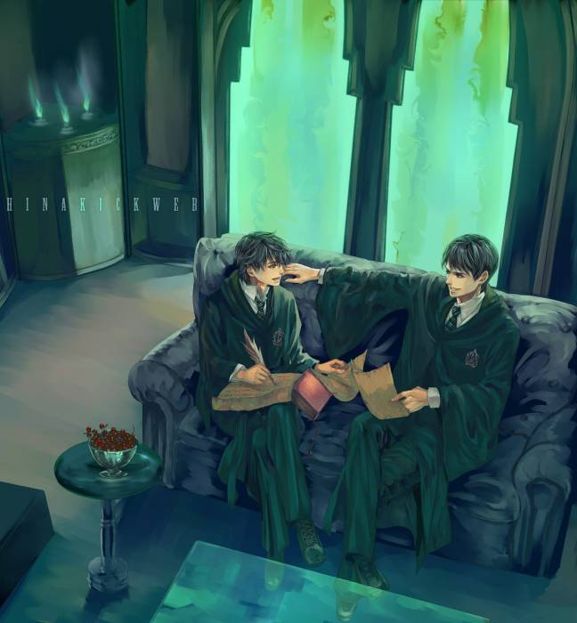chiboard-b2t46916-20100104_Commission___in_Slytherin_by_Flayu_upby-Duky.jpg