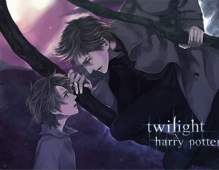 chiboard-b2t46919-20100104_Twilight_x_HarryPotter_by_Flayu_upby-Duky.jpg