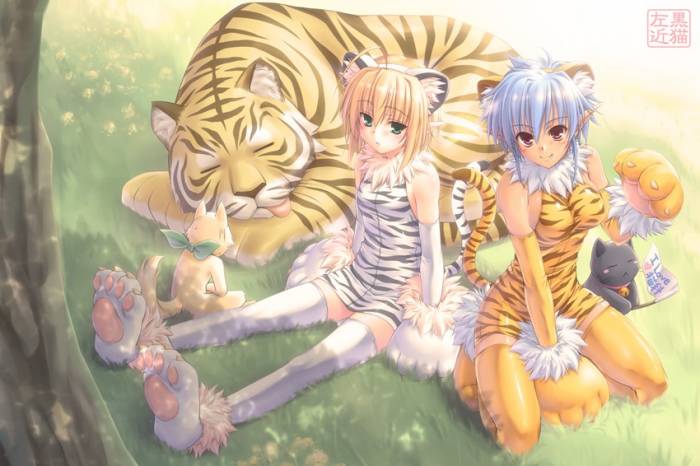 chiboard-b1t46968-20100107_sample_3733660020fd81540c5be51c6ded83079438c9d5_upby-Devilblood.jpg