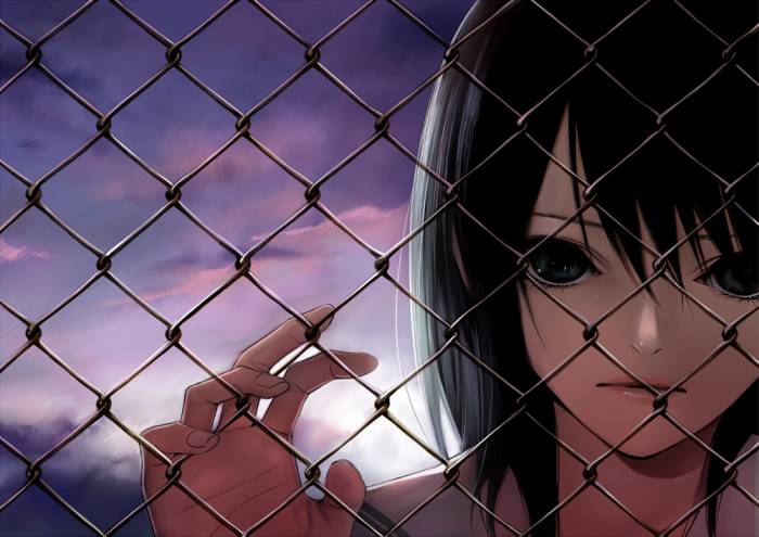 chiboard-b1t47141-20100112_263132d267440acc058cb0d78d32a99b3f6aff06_upby-Devilblood.jpg