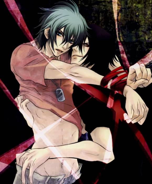 chiboard-b2t47506-20100130_Togainu_-_Ragdoll_01_cover_upby-Duky.jpg