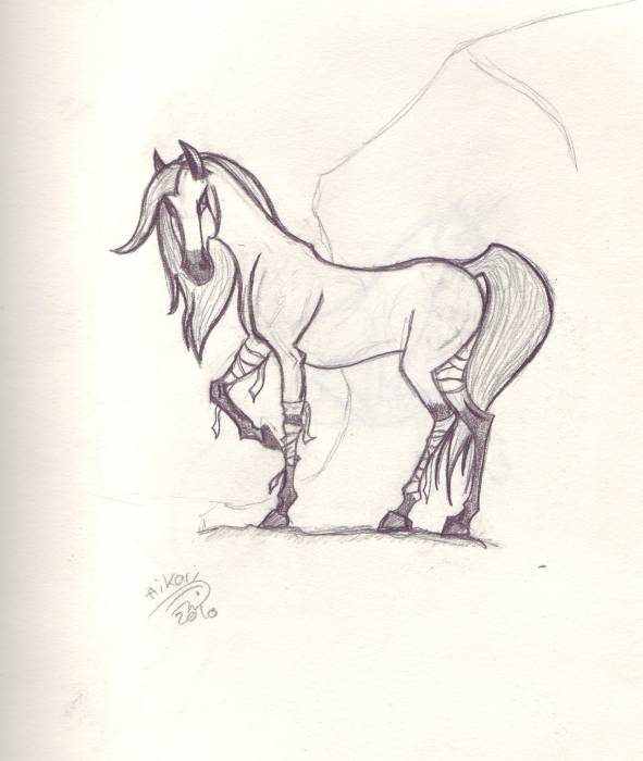 chiboard-b16t47648-20100203_Horse_upby-Lady_DarlLad.jpg