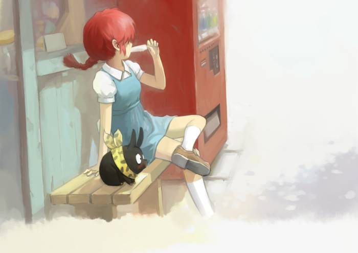 chiboard-b1t47795-20100207_ranma_upby-Duky.jpg