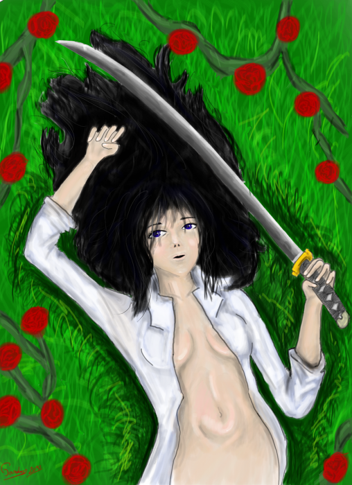 chiboard-b16t47962-20100214_fille_aux_sabreptt_copie_upby-Xatiav.png