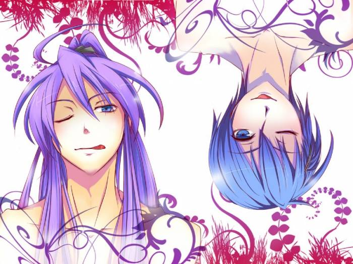 chiboard-b2t48007-20100216_Vocaloid_haru_aki_upby-Duky.jpg