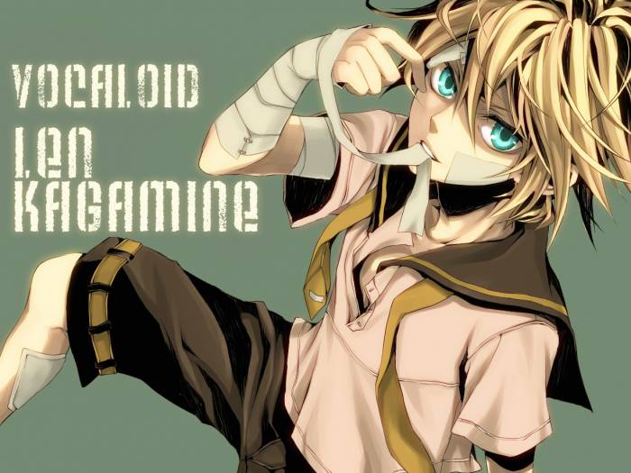 chiboard-b2t48024-20100216_vocaloid020_upby-Duky.jpg