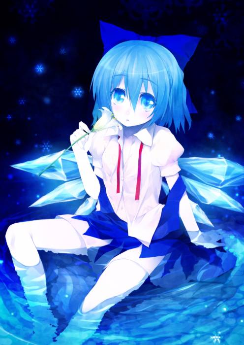 chiboard-b1t48216-20100224_Touhou_-_Cirno_upby-Youffie.jpg
