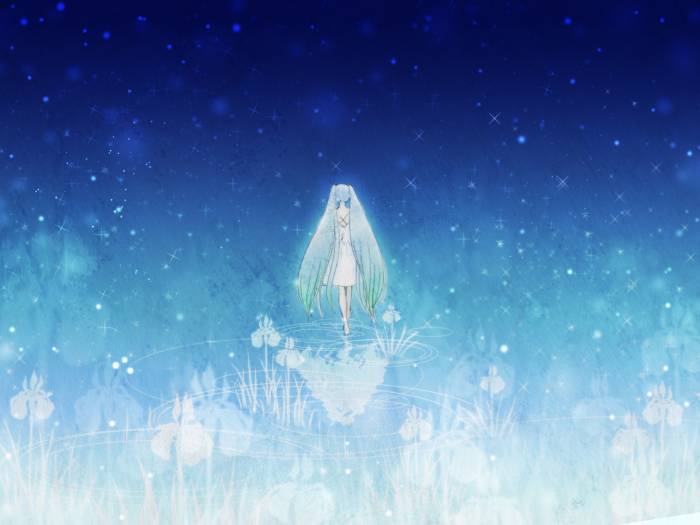 chiboard-b1t48351-20100227_Vocaloid_45_upby-Nana_chan.jpg