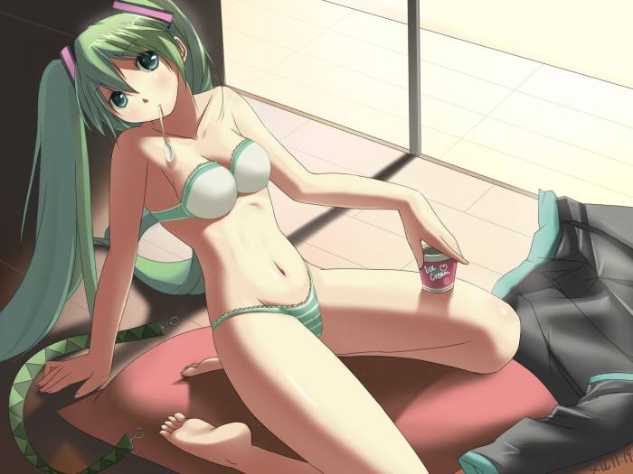 chiboard-b1t48353-20100227_Vocaloid_49_upby-Nana_chan.jpg