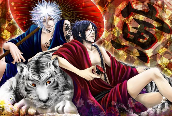 chiboard-b2t48382-20100228_tiger4_upby-Duky.jpg