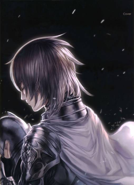 chiboard-b2t48543-20100306_knight_upby-Duky.jpg