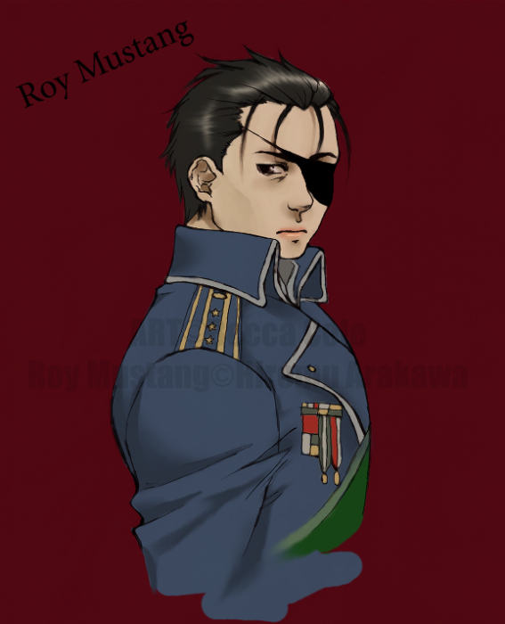 chiboard-b2t48796-20100320_ZuriMoon_-_Roy_Mustang_upby-rena.png