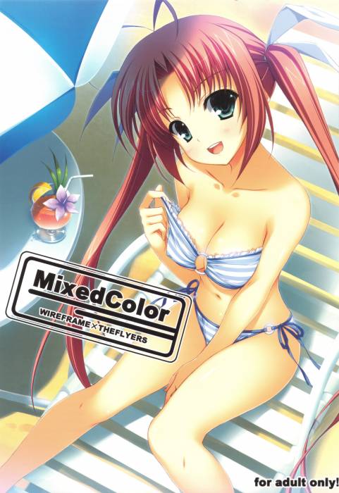chiboard-b1t49016-20100402_Beach_upby-Youffie.jpg