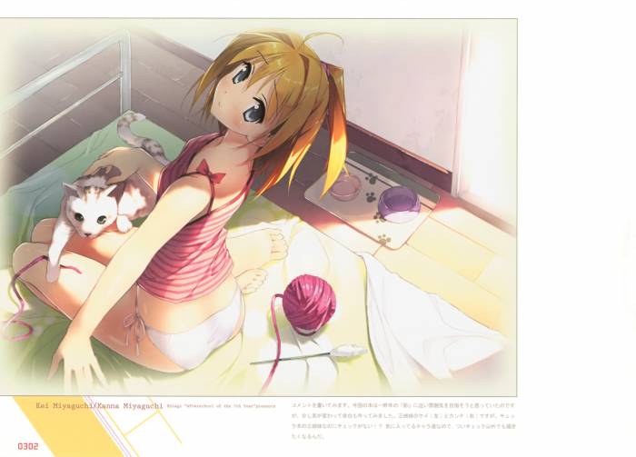 chiboard-b1t49018-20100402_Cat_upby-Youffie.jpg