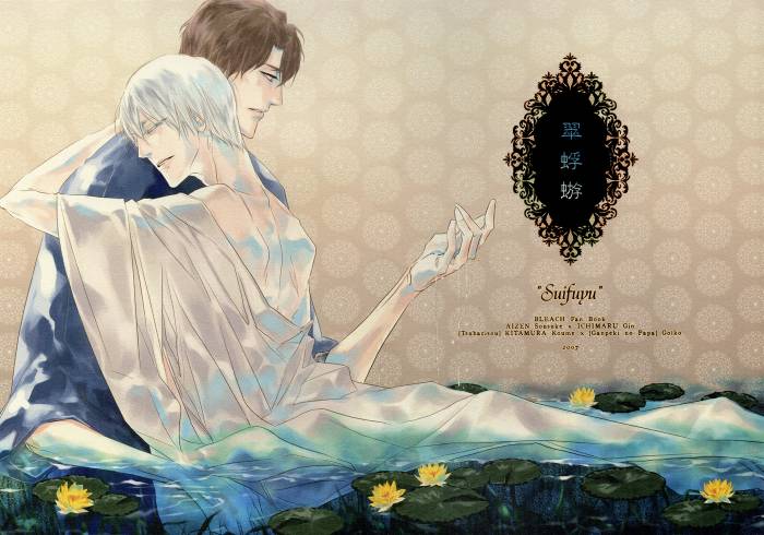 chiboard-b2t49086-20100406_Bleach06_upby-Duky.jpg